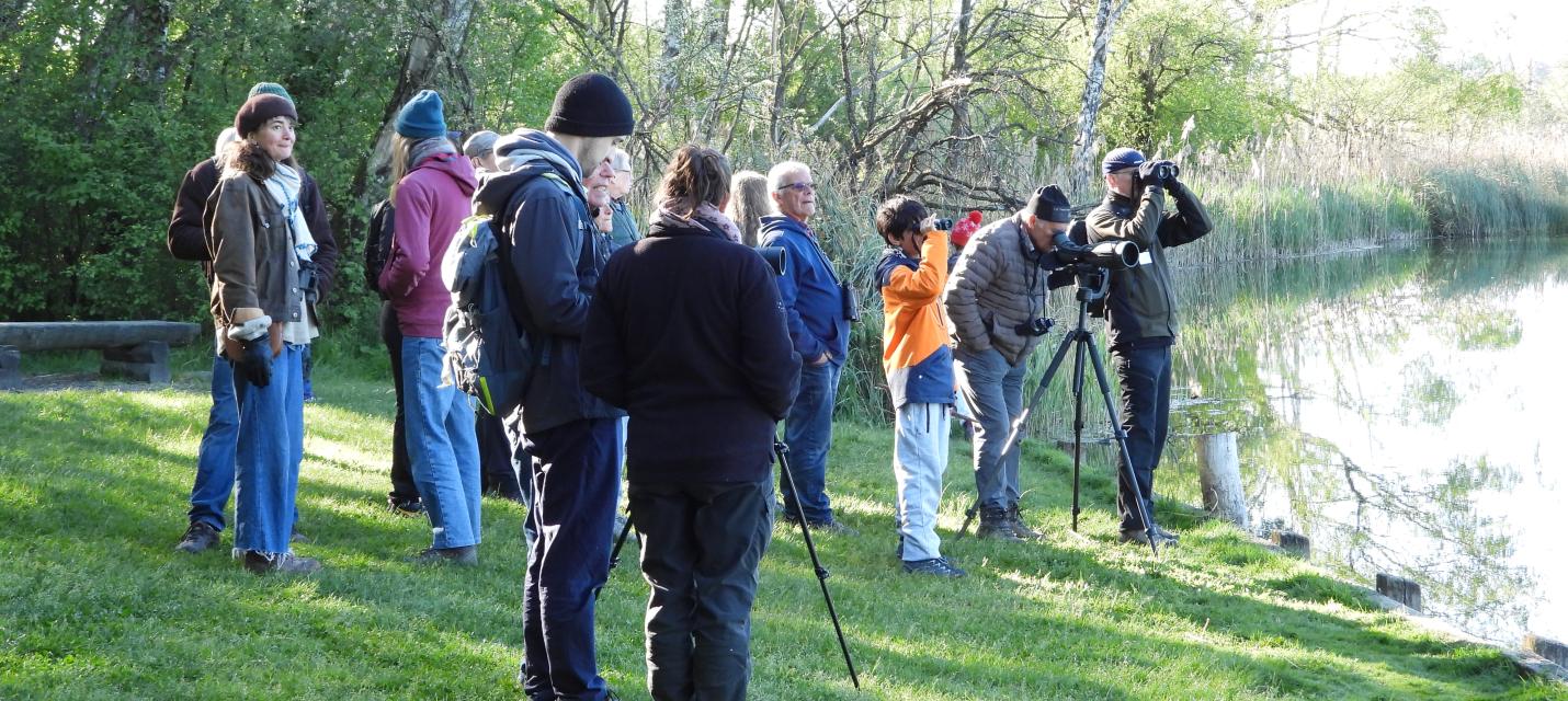 Birdwatch