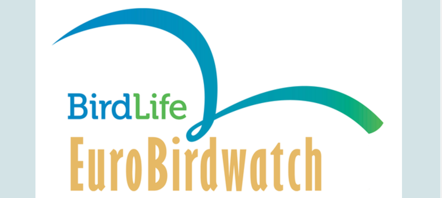 birdlife